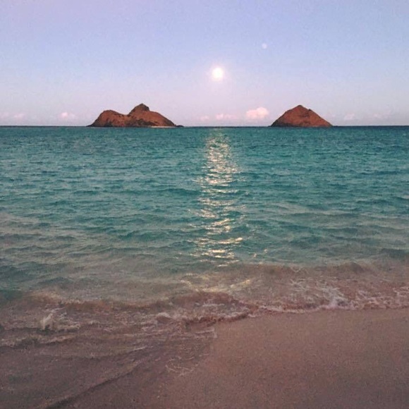 Meet your Posher, Catherine - Picture 4 of 5